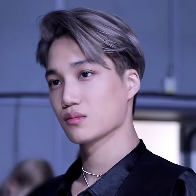 카이 팬이 찍은 순간
