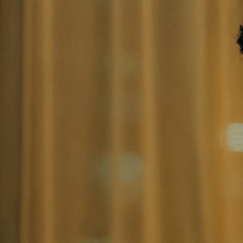 Behind-the-scenes cut of Park Seoham