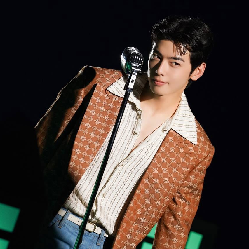 A moment captured by a fan of Cha Eunwoo
