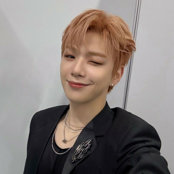 秘密空间的最新照片