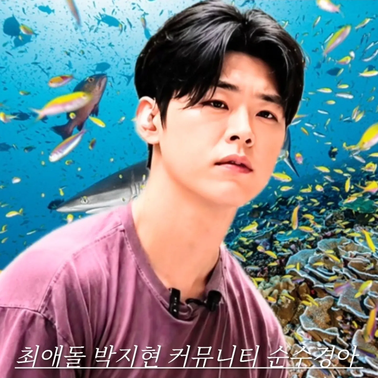 커뮤니티에서 화제된 인기 셀럽 콘텐츠