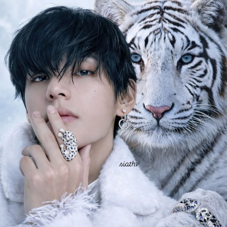 Postingan yang meledak di komunitas Choeaedol Celeb