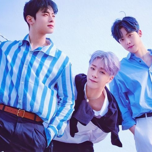 A moment captured by a fan of Cha Eunwoo