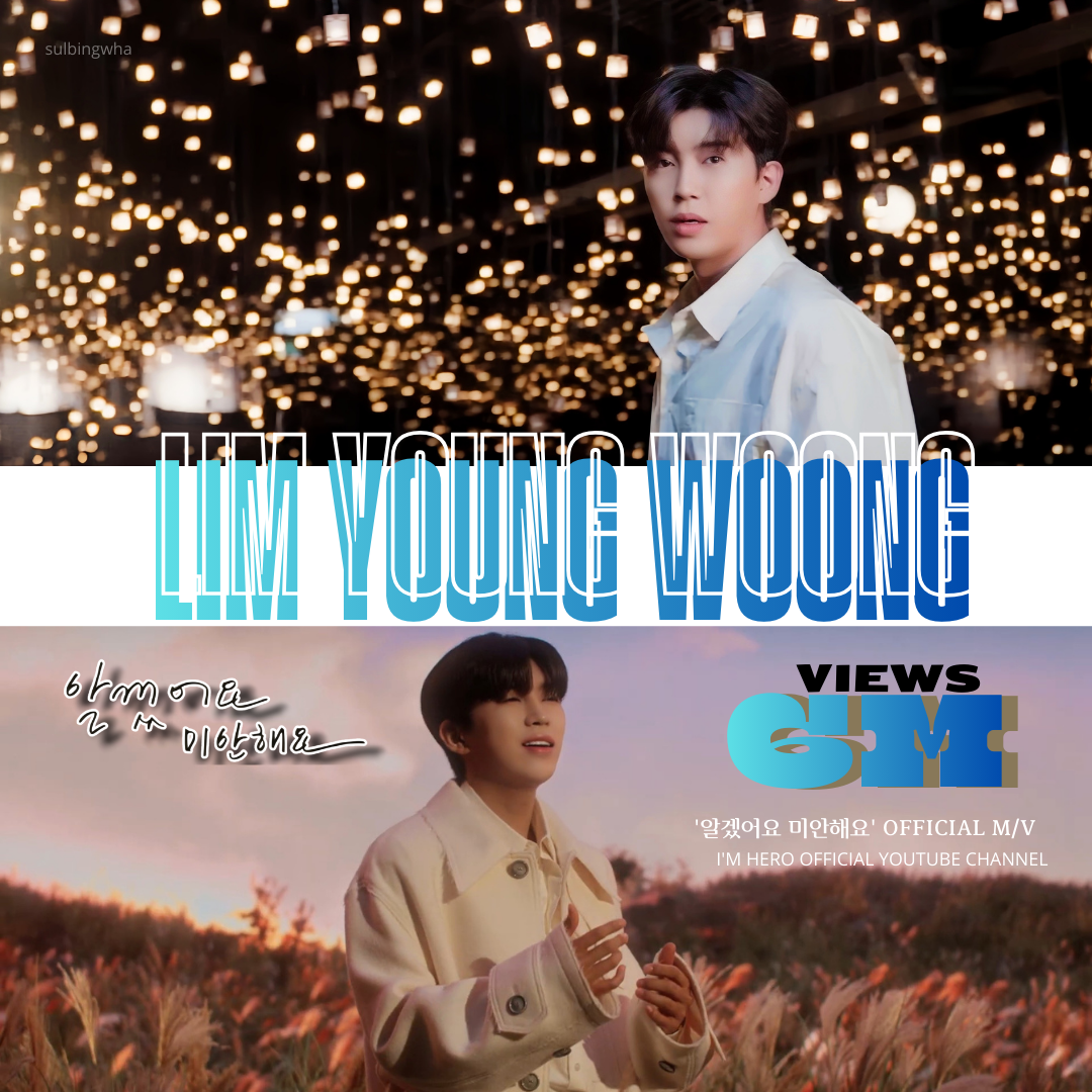 임영웅 팬이 찍은 순간