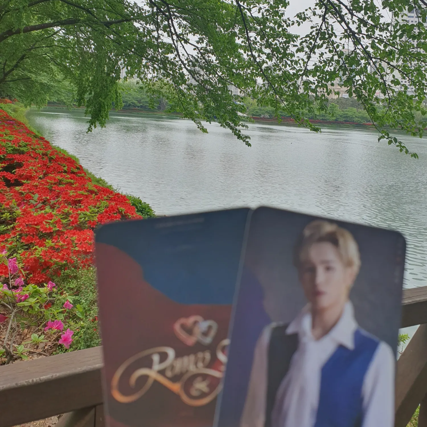 金熙栽的最新照片