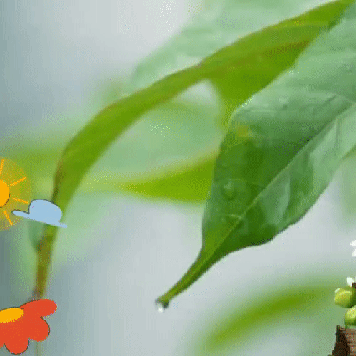 粉絲拍下的金浩中瞬間