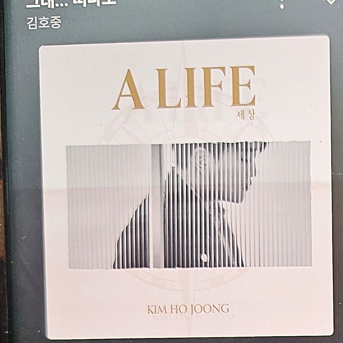 ファンが撮影したキム・ホジュンの瞬間