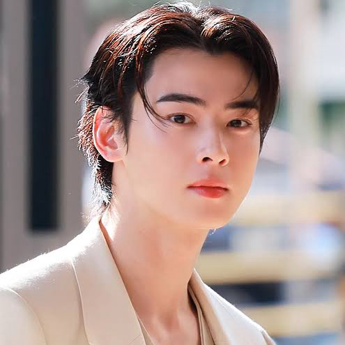 Recent activity shot of Cha Eunwoo
