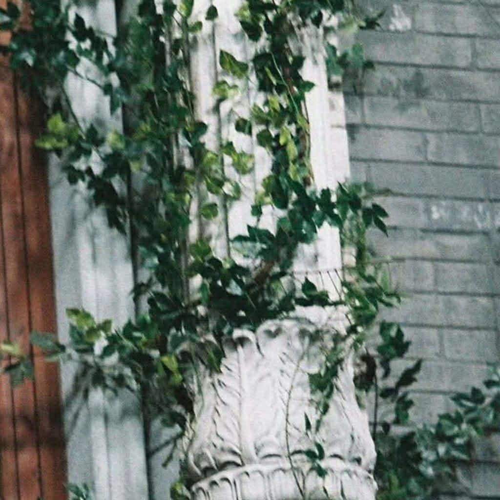 Behind-the-scenes cut of Zhang Linghe