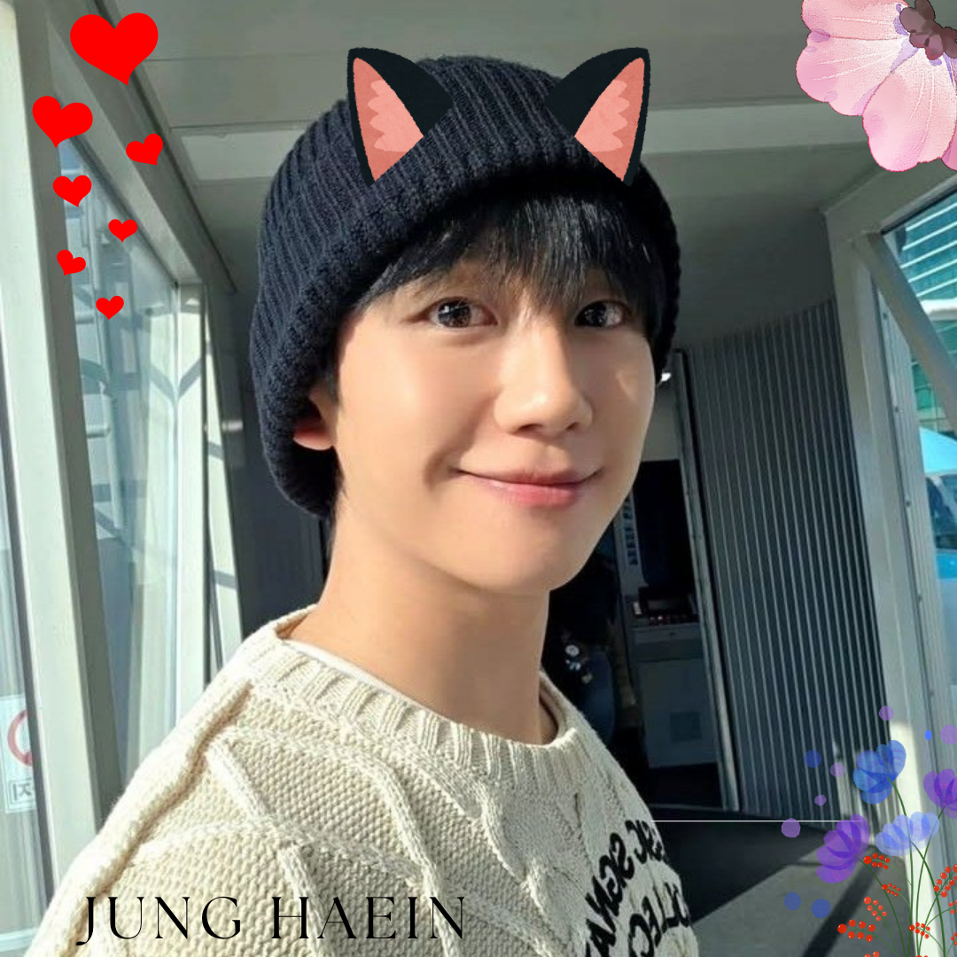 丁海寅的最新照片