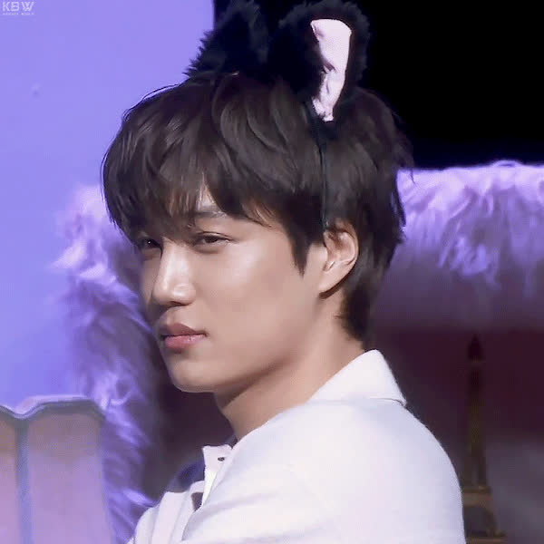 Popular profile photo of KAI loved by fans