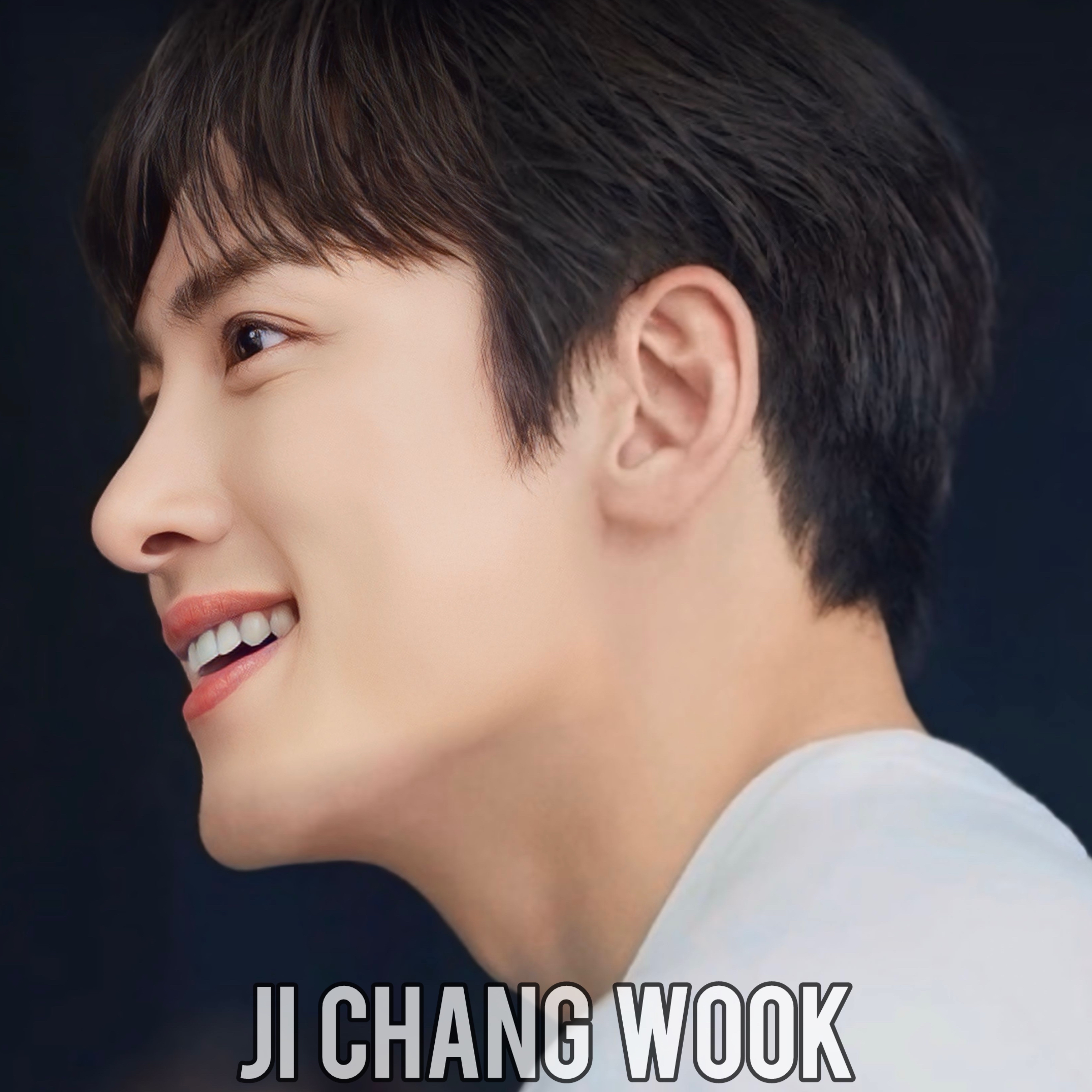 Behind-the-scenes cut of Ji Changwook