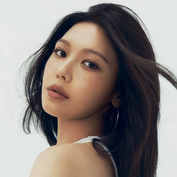 Top moment of Sooyoung selected by the fandom