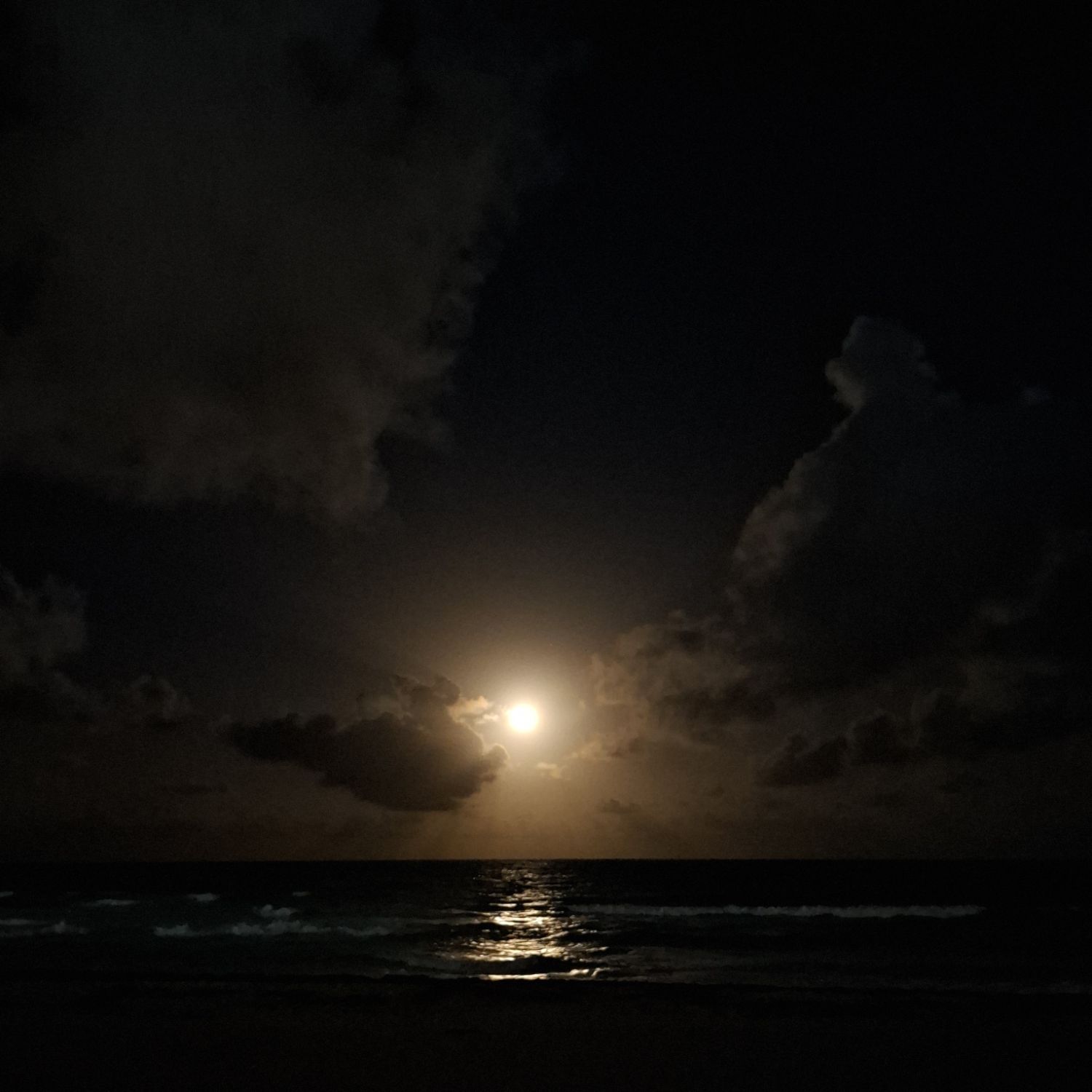 이민호 팬이 찍은 순간