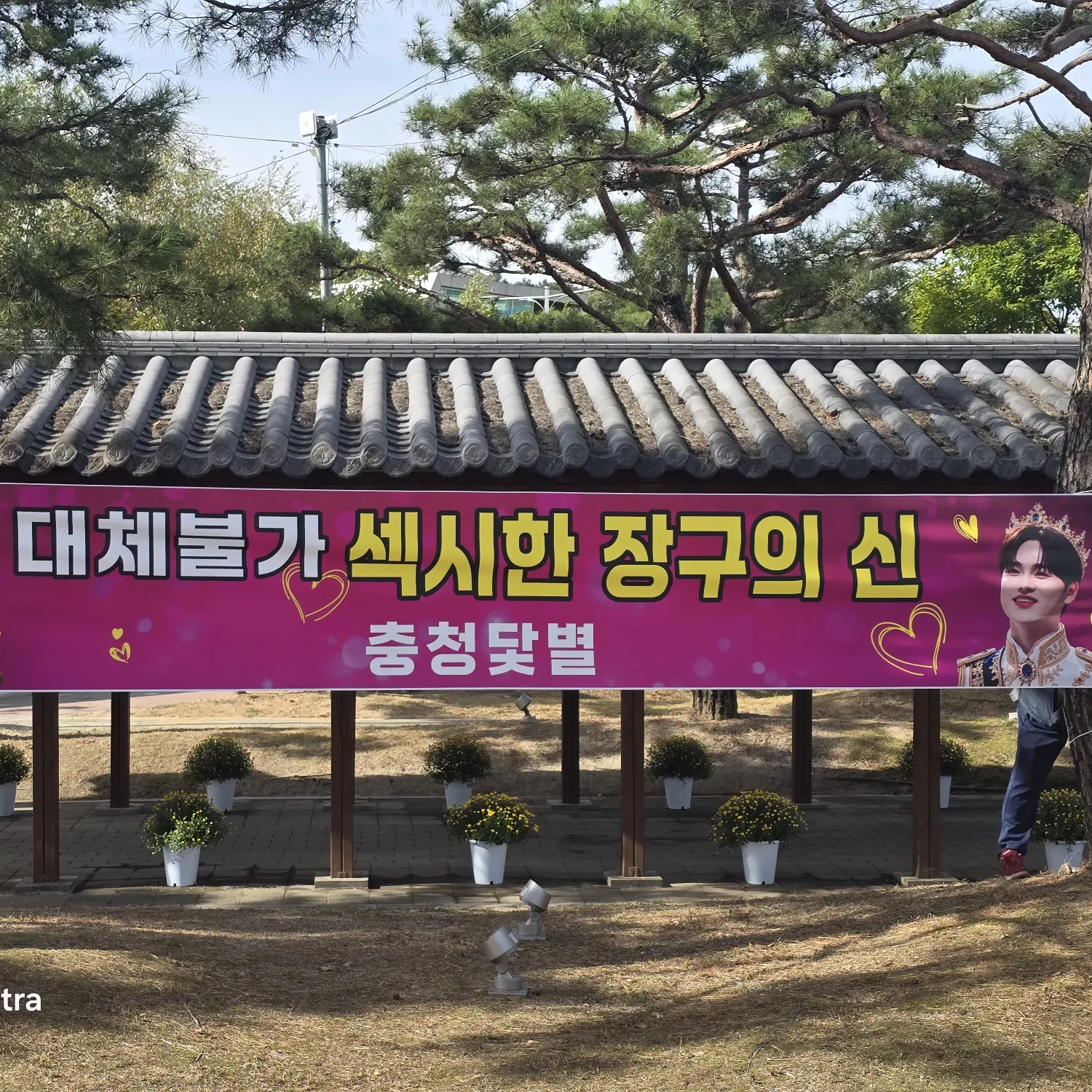 박서진의 최신 사진