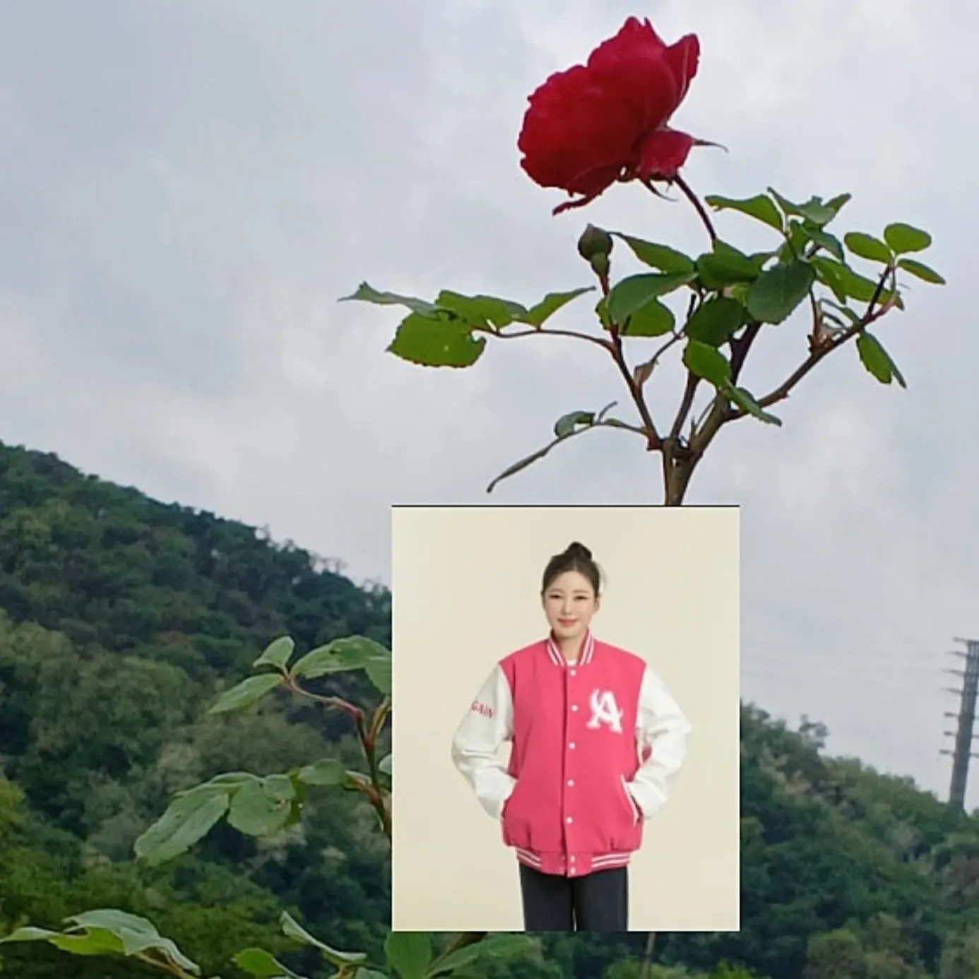 粉絲拍下的宋歌人瞬間