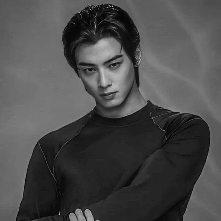A moment captured by a fan of Cha Eunwoo