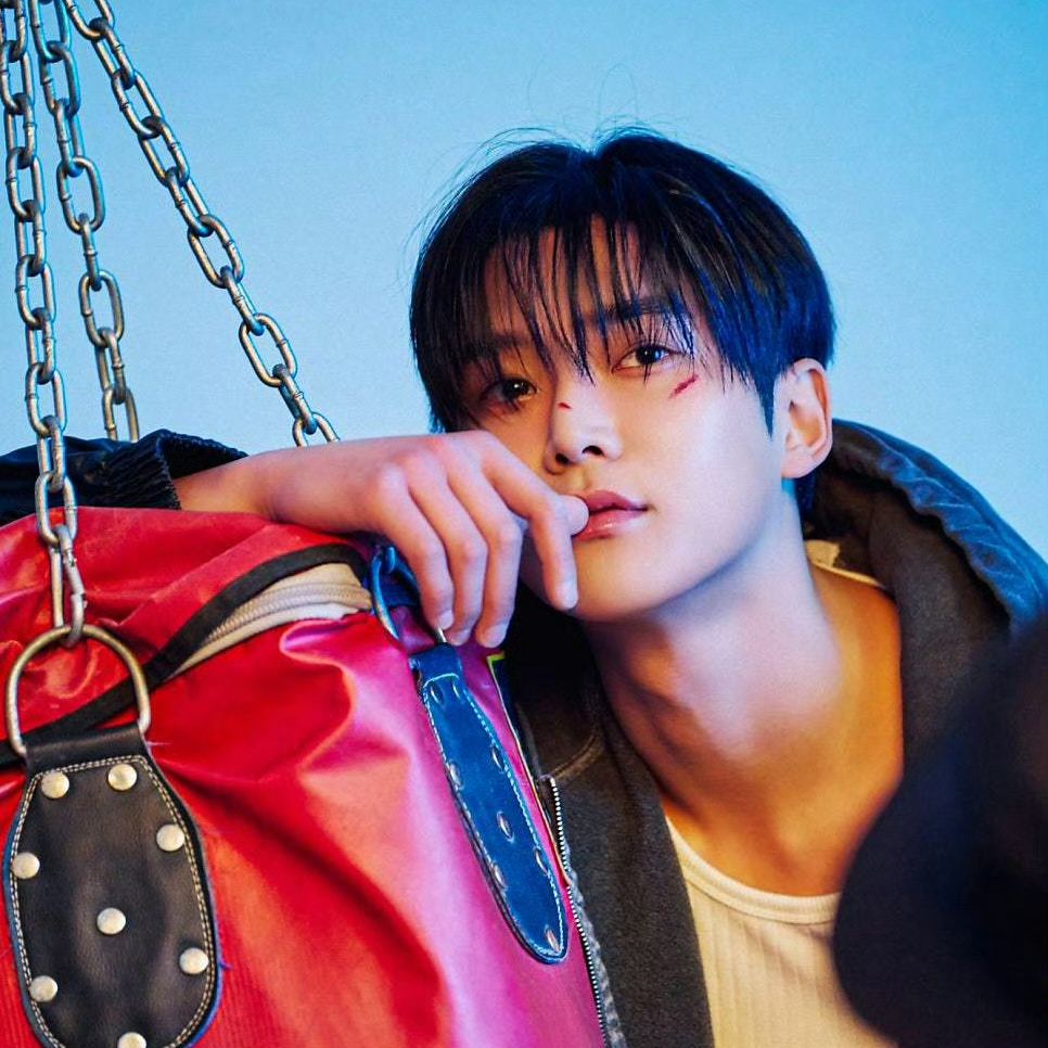 로운 최근 활동샷