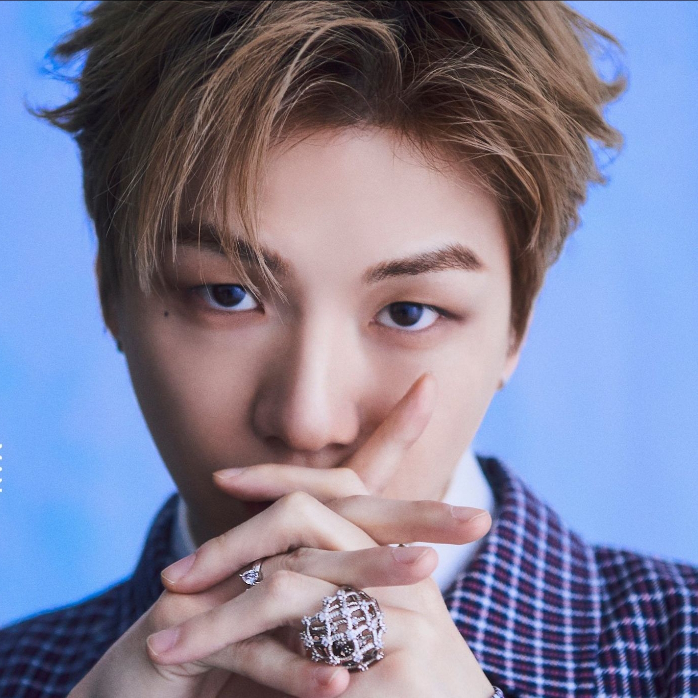 Latest photo of Secret Garden