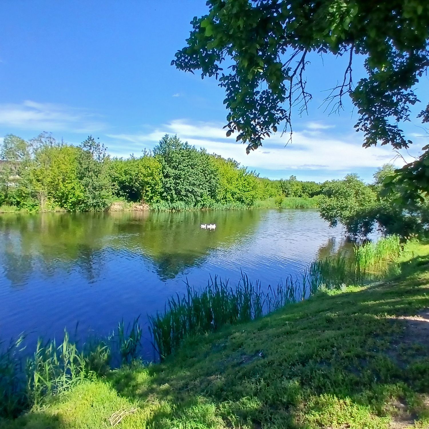 Latest photo of Lee Joongi