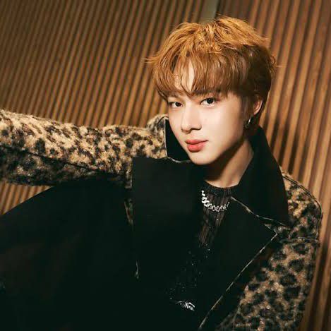 Recent activity shot of NuNew