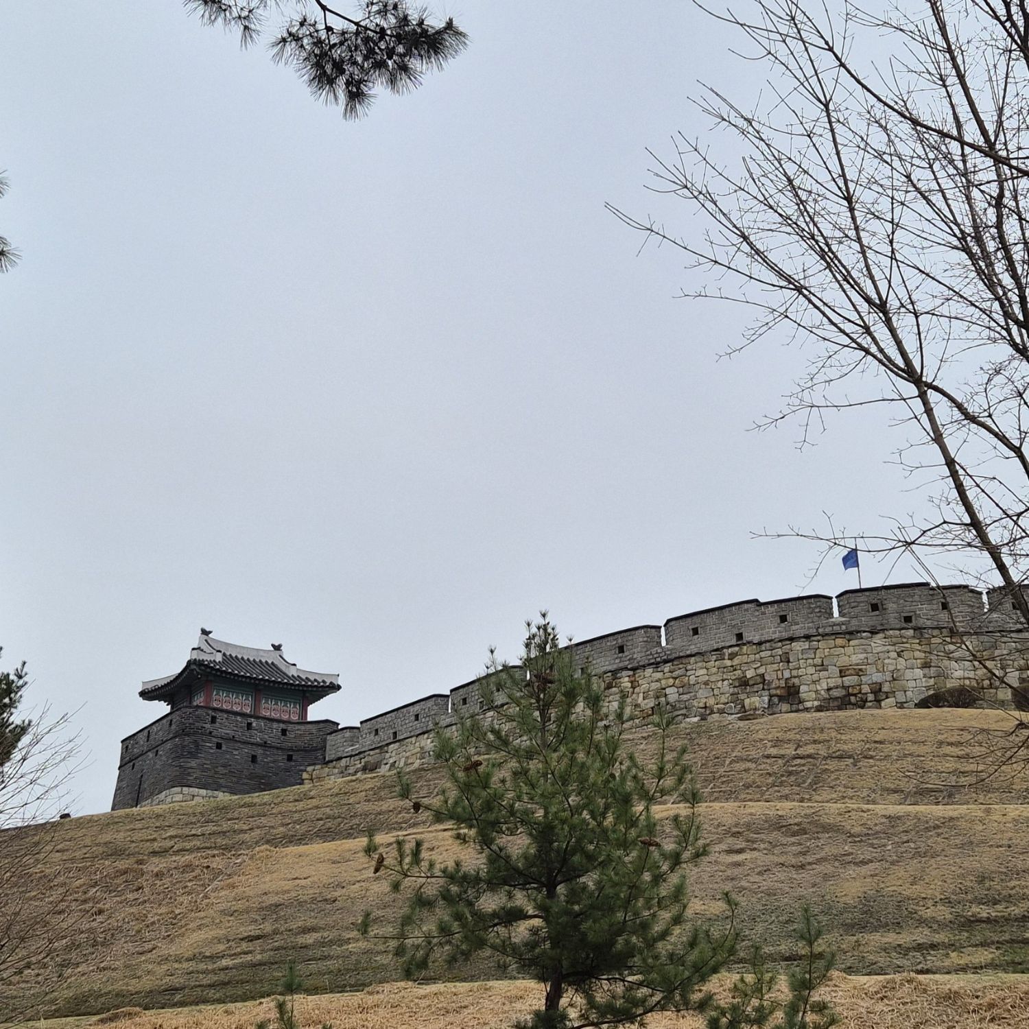 金浩中的幕後花絮