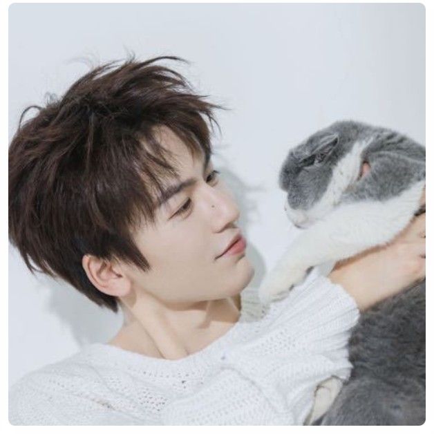 张凌赫的幕后花絮