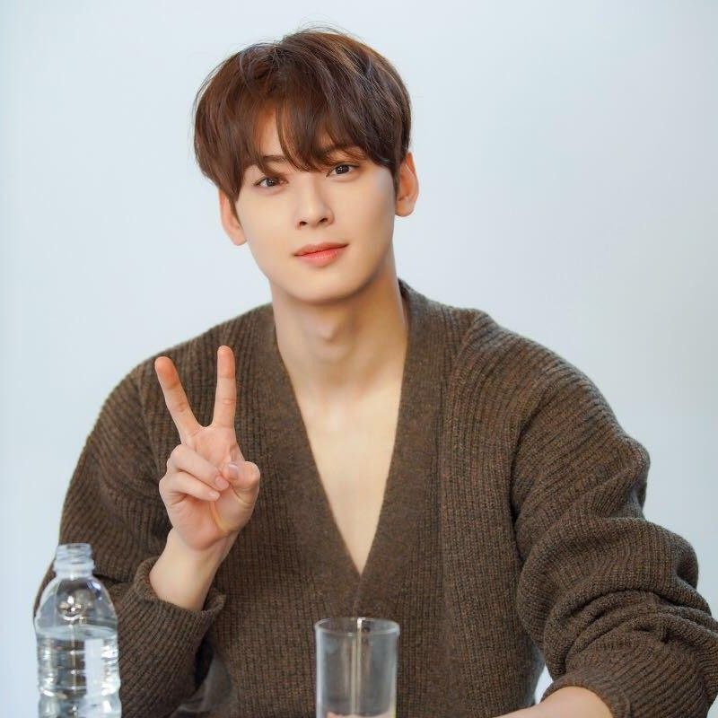 Behind-the-scenes cut of Cha Eunwoo