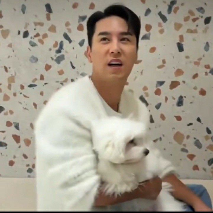 张民好的最新照片