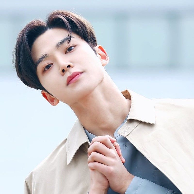 路云的近期活动照