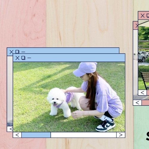 Latest photo of Park Minyoung