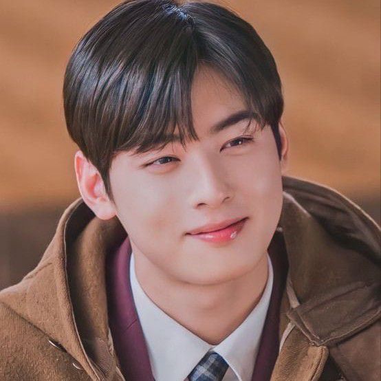 A moment captured by a fan of Cha Eunwoo