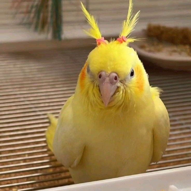 도경수 (디오) 팬이 찍은 순간