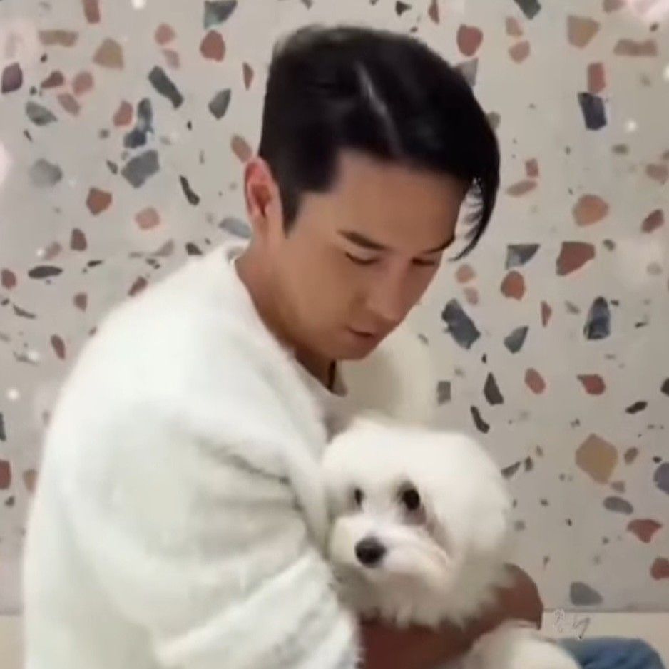 张民好的幕后花絮