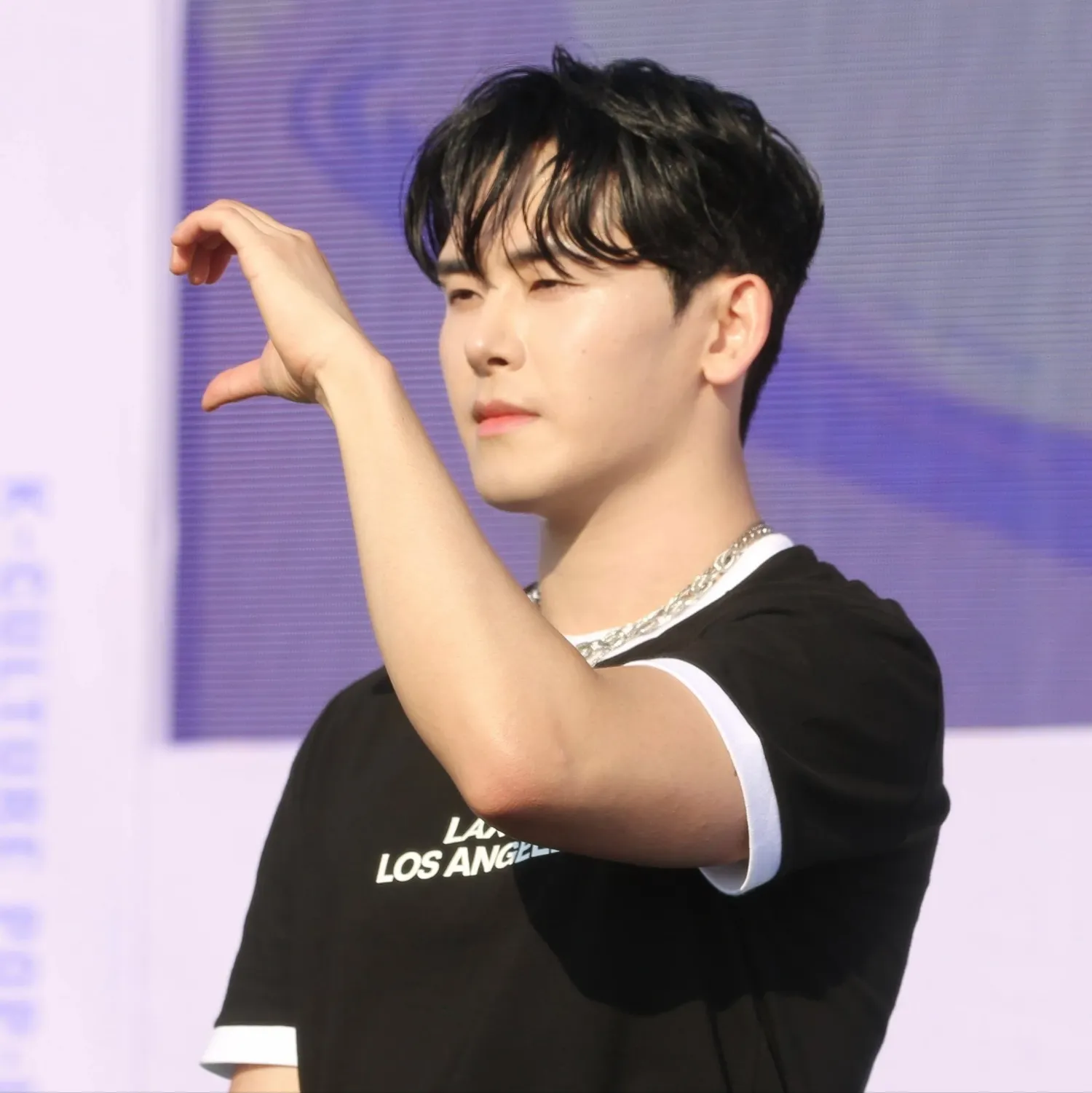 Recent activity shot of Hoya