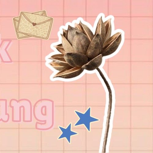 Behind-the-scenes cut of Park Boyoung