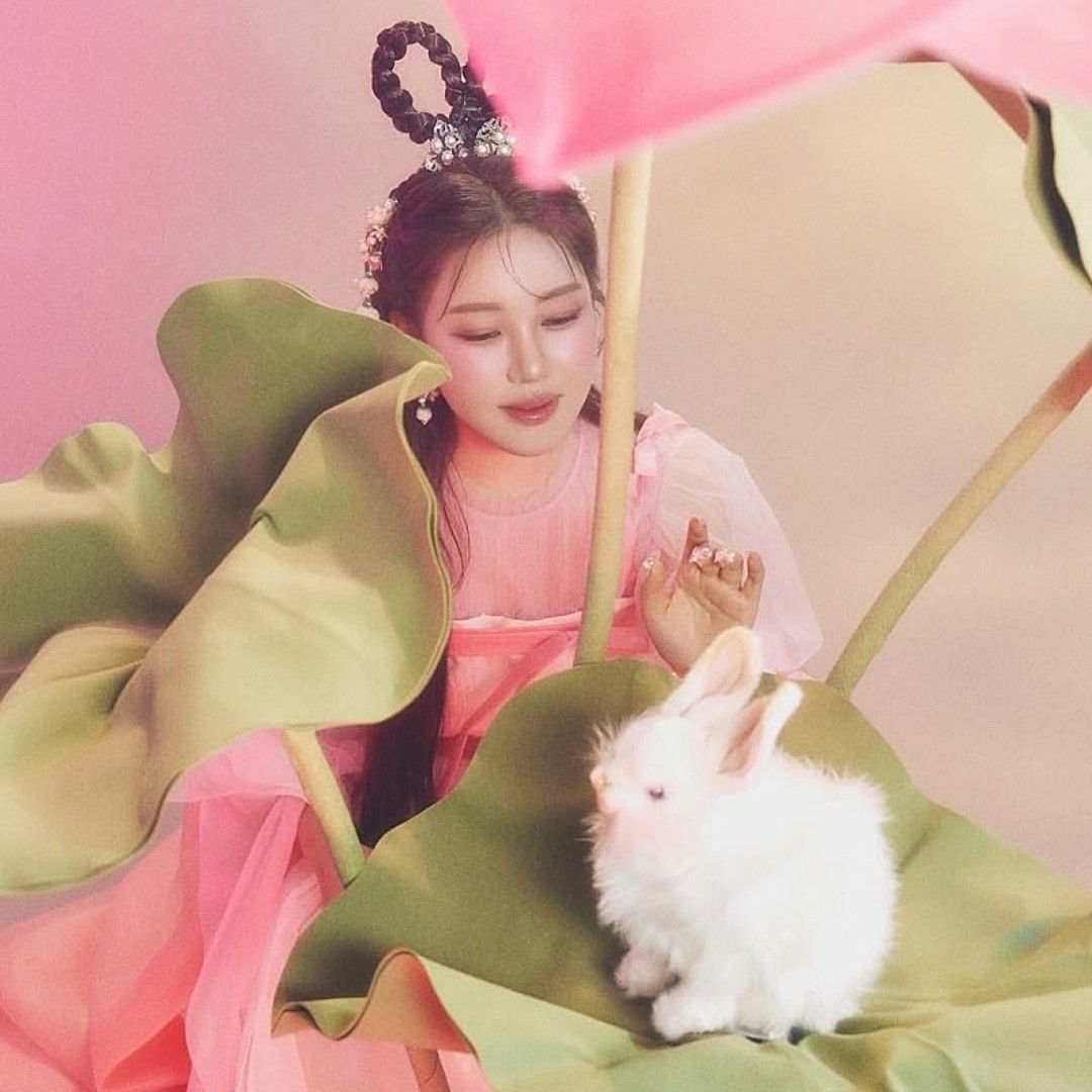 粉絲拍下的宋歌人瞬間