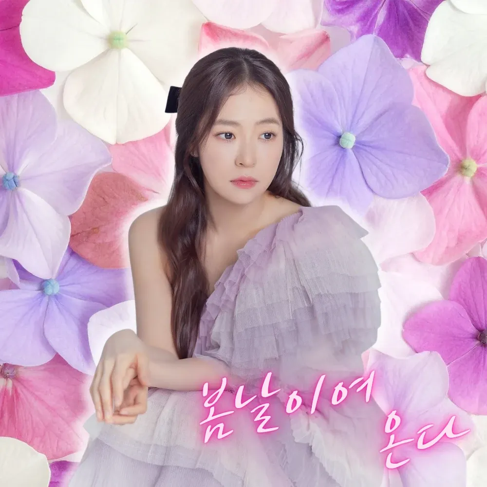 홍자 최근 활동샷