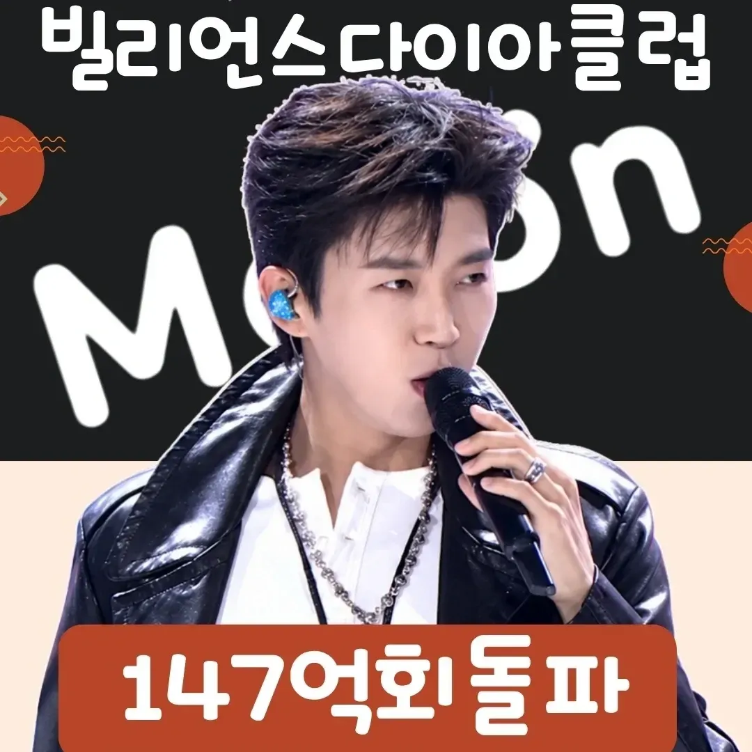 임영웅 팬이 찍은 순간