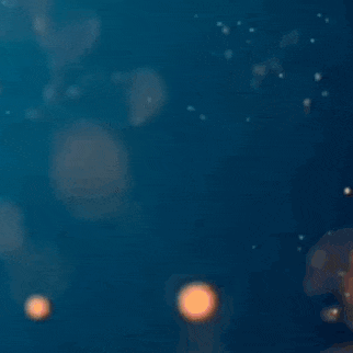 金宣虎的近期活動照