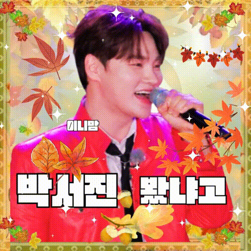 박서진 팬이 찍은 순간
