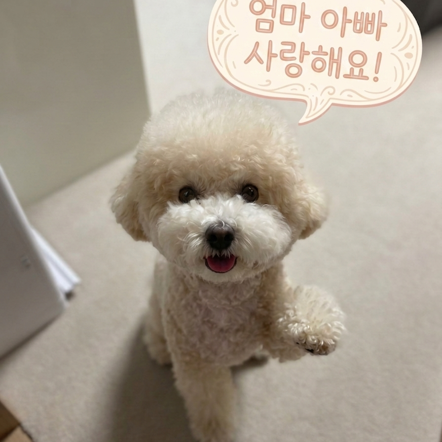 김선호의 최신 사진
