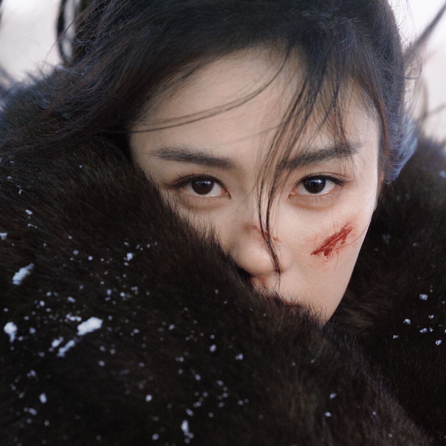 Recent activity shot of Bai Lu