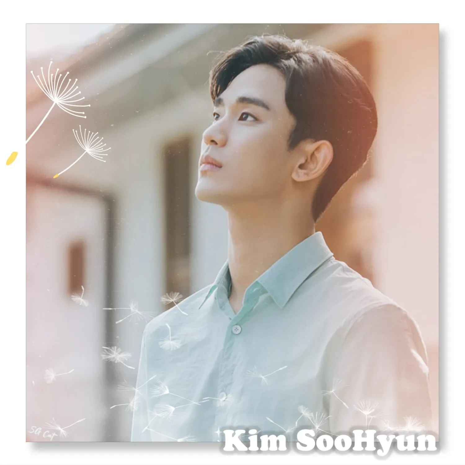 A moment captured by a fan of Kim Soohyun