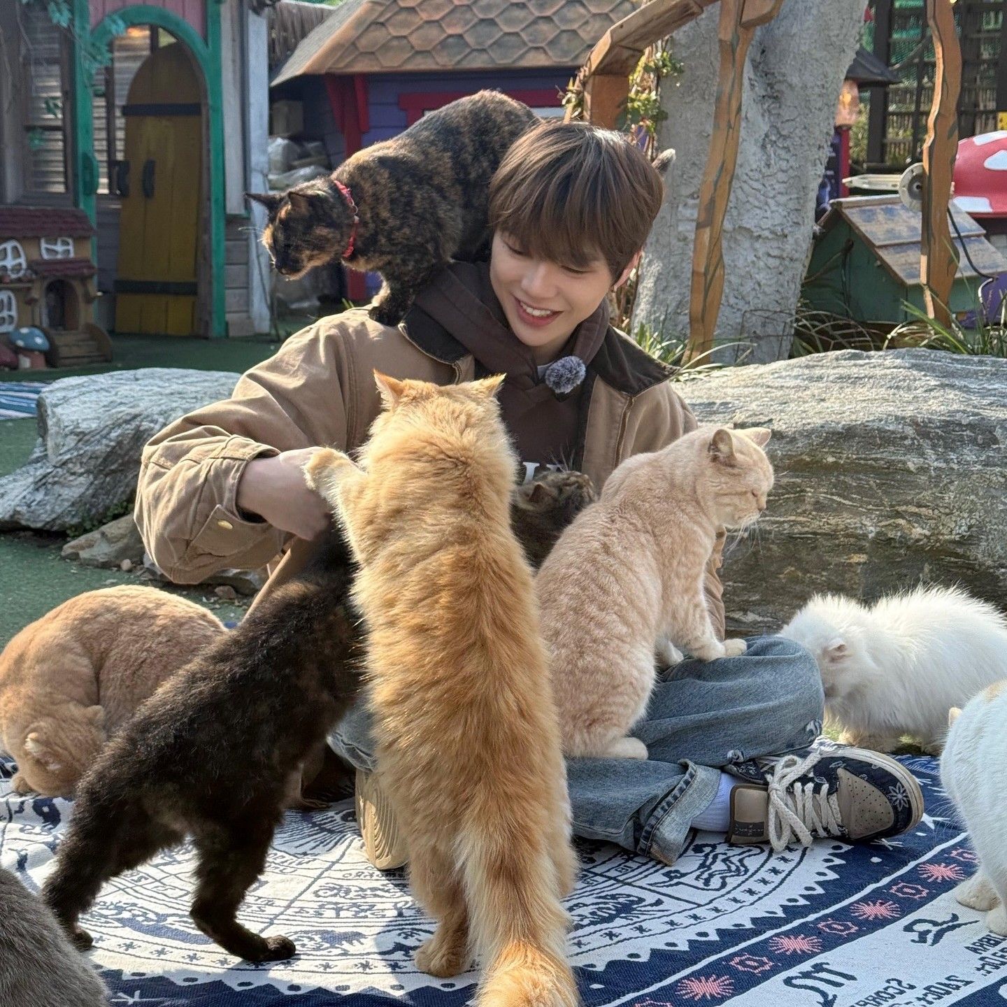 비밀의 방 최근 활동샷