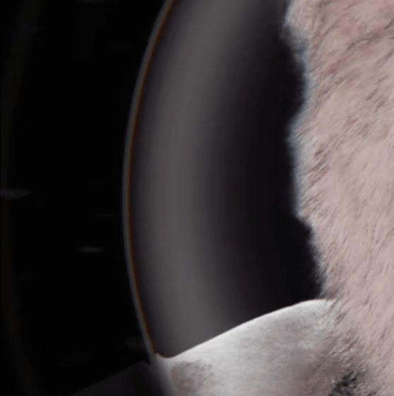 Recent activity shot of Dylan Wang