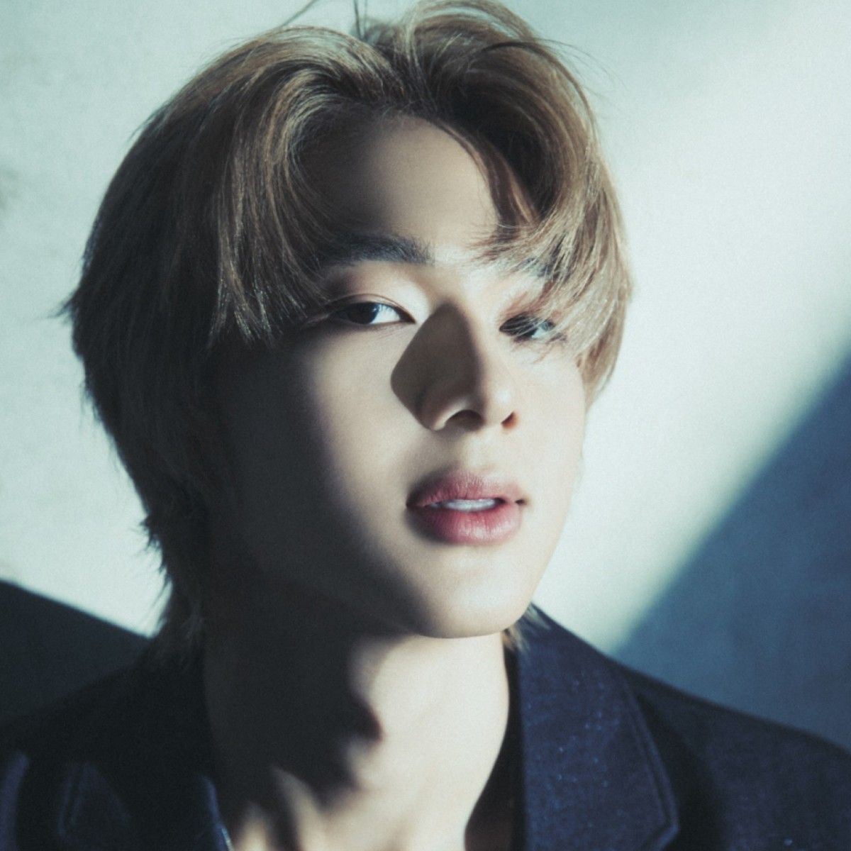 Recent activity shot of NuNew