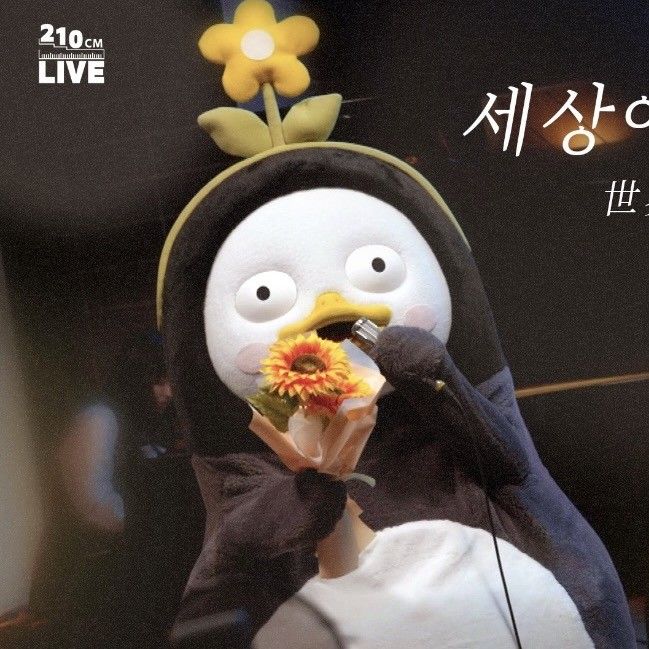 朋秀的最新照片