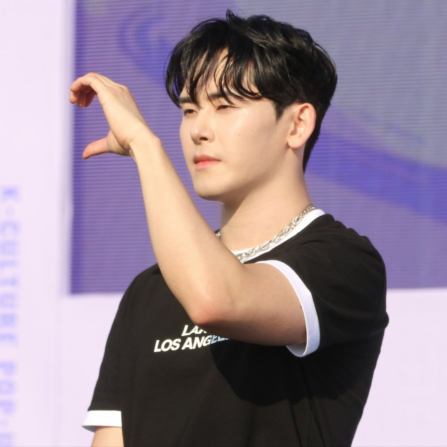 Recent activity shot of Hoya