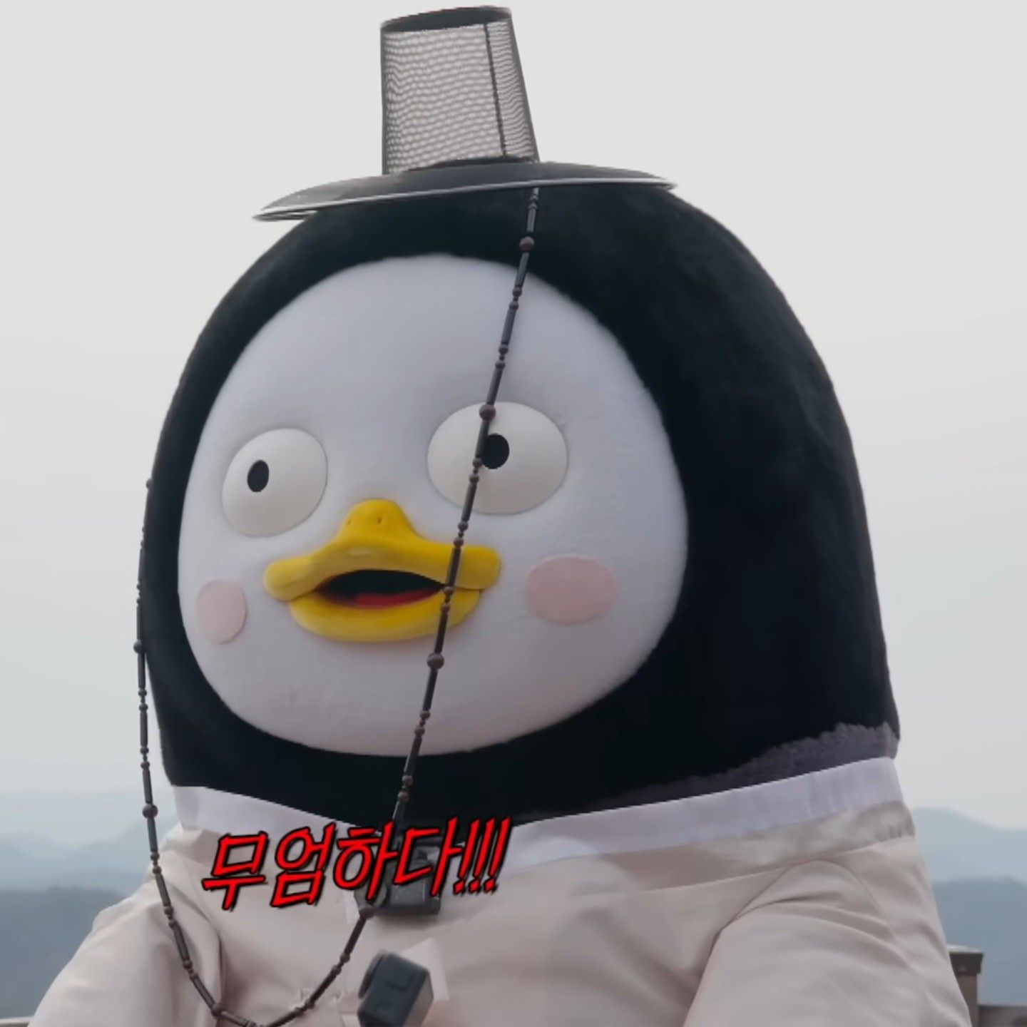 朋秀的最新照片